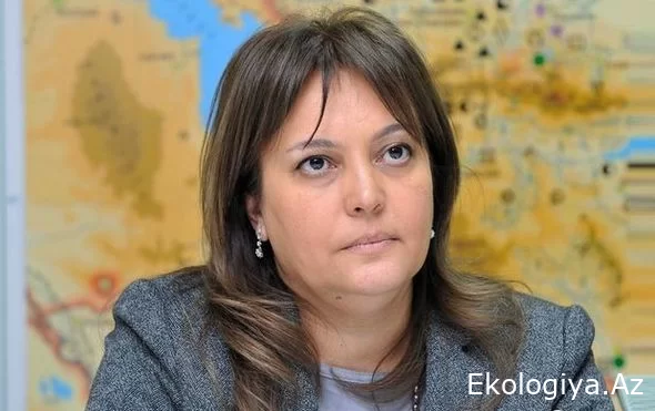Umayra Tağıyeva: "Su probleminin həllində regional əməkdaşlıq edə bilmirik"