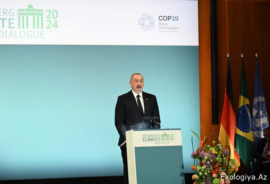 Prezident: Biz təkcə COP29-u yaxşı təşkil etməli deyilik, eyni zamanda, yaxşı nəticələr əldə etməliyik
