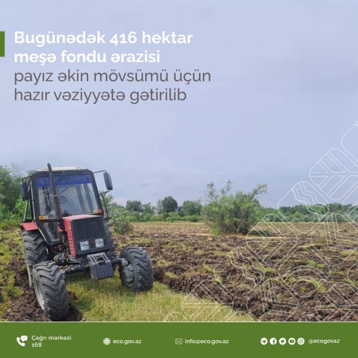 Bugünədək 416 hektar meşə fondu ərazisi payız əkin mövsümü üçün hazır vəziyyətə gətirilib