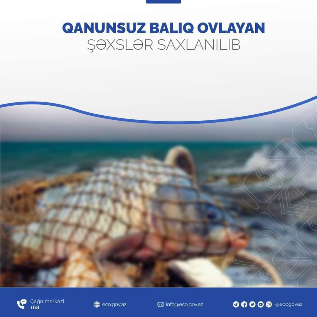 Qanunsuz balıq ovlayan şəxslər cəzalandırılıb