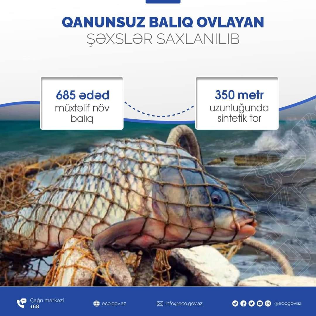 Qanunsuz balıq ovlayan şəxslər saxlanılıb
