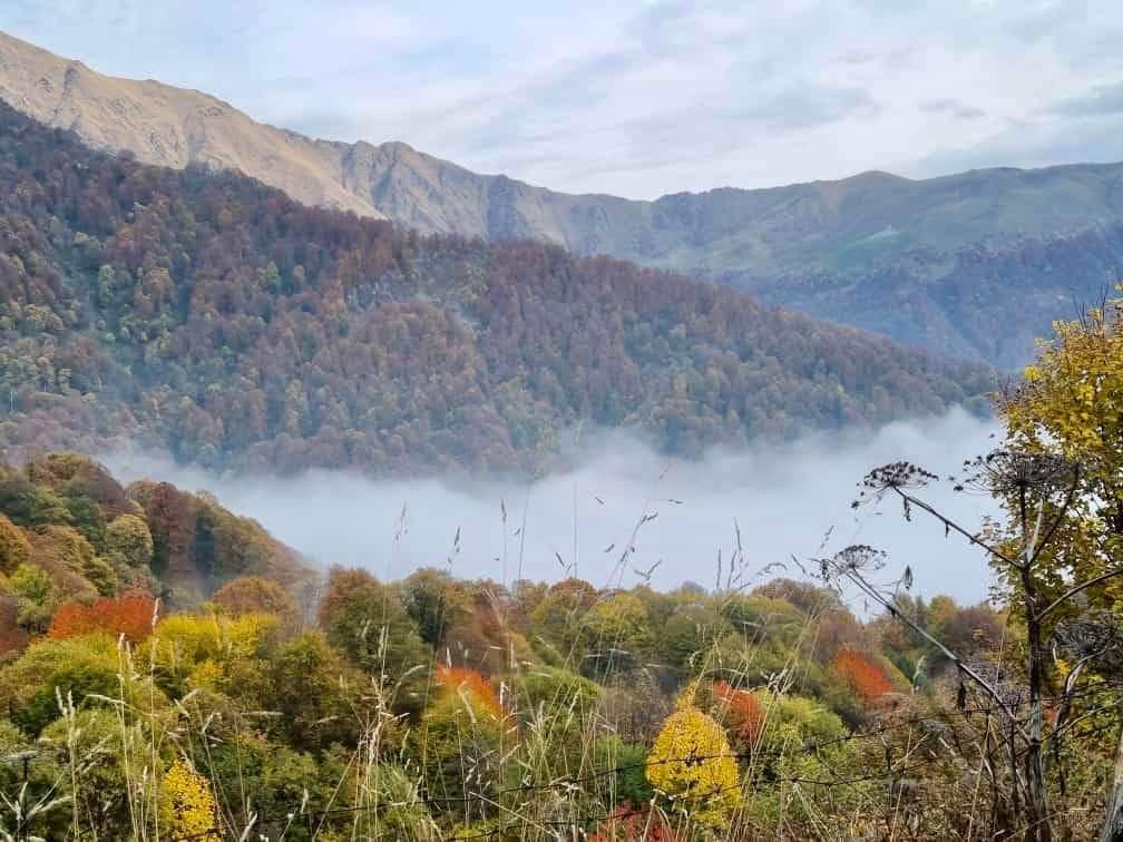 Zaqatala Dövlət Təbiət qoruğu- FOTO