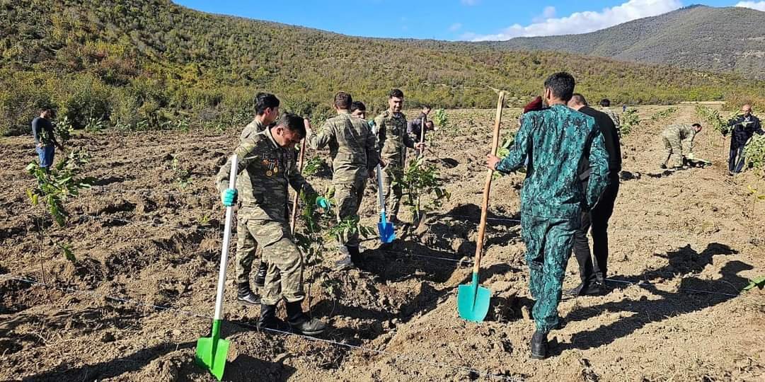 Zəfər Gününə özəl bütün bölgələrdə ağacəkmə kampaniyası keçirilib