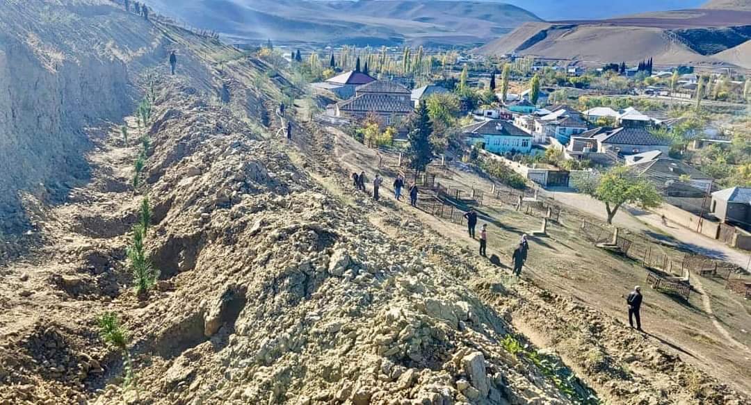 Daha bir ağacəkmə kampaniyası Quba, Qusar, Şabran, Siyəzən, İsmayıllıda keçirilib