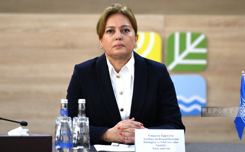 Umayra Tağıyeva: "Azərbaycanda istilik effekti yaradan qazların emissiyalarının azaldılması üçün işlər görülür"