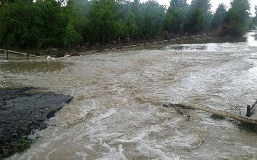 Bu yay Azərbaycanda rekord sayda sel-daşqın hadisəsi baş verib - Nazim Mahmudov