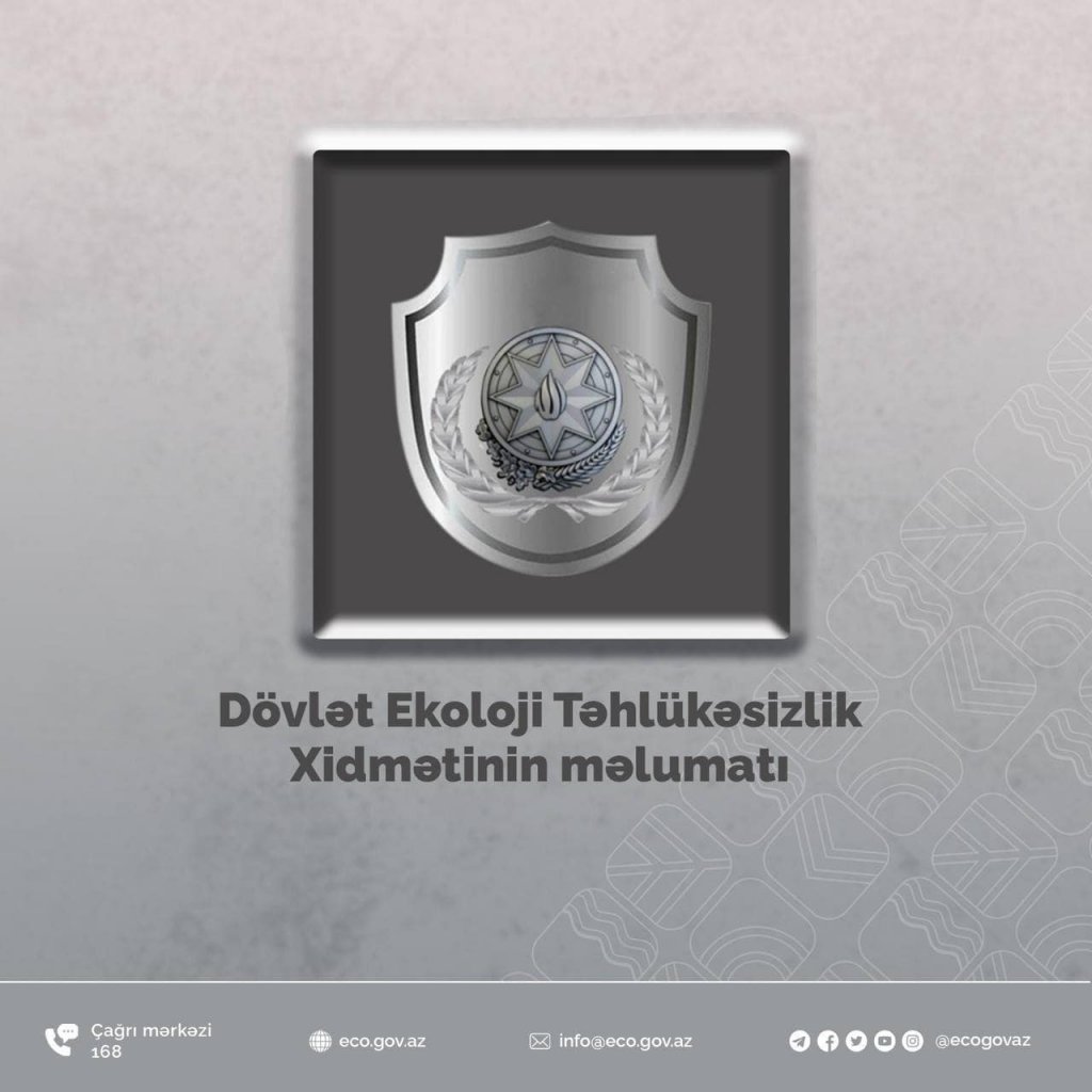 Yardımlı rayonu ərazisində ağac kəsimi müəyyən edilib, faktla bağlı akt tərtib olunub - Rəsmi