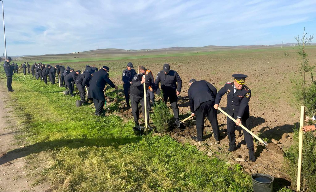 Cəlilabad Polis idarəsi əməkdaşları Ulu öndər Heydər Əliyevin 100 illiyi ilə bağlıağacəkmə aksiyası keçirilib/FOTO