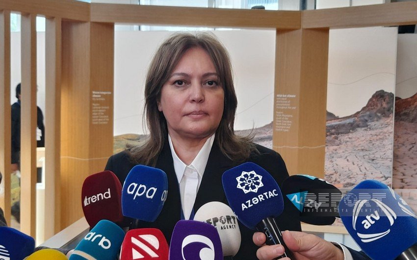 Umayra Tağıyeva: "Azərbaycan iqlim dəyişmələrinə həssas olan ölkələrdəndir"