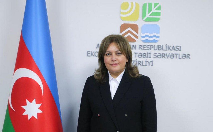 Nazir müavini: “Azərbaycan öz üzərinə emissiyaların azaldılması ilə bağlı iddialı öhdəliklər götürüb”