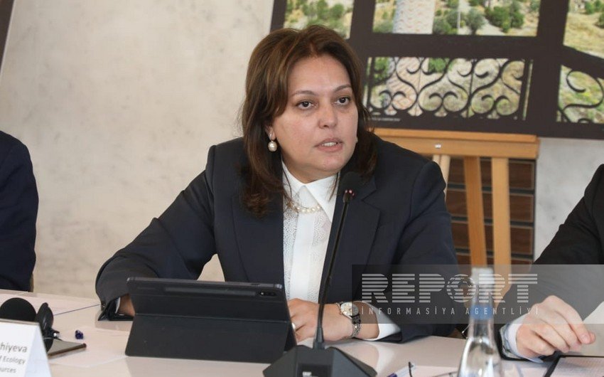 Umayra Tağıyeva: “İqtisadiyyatı sürətlə inkişaf edən ölkələr emissiyaların əhəmiyyətli hissəsini təşkil edir”