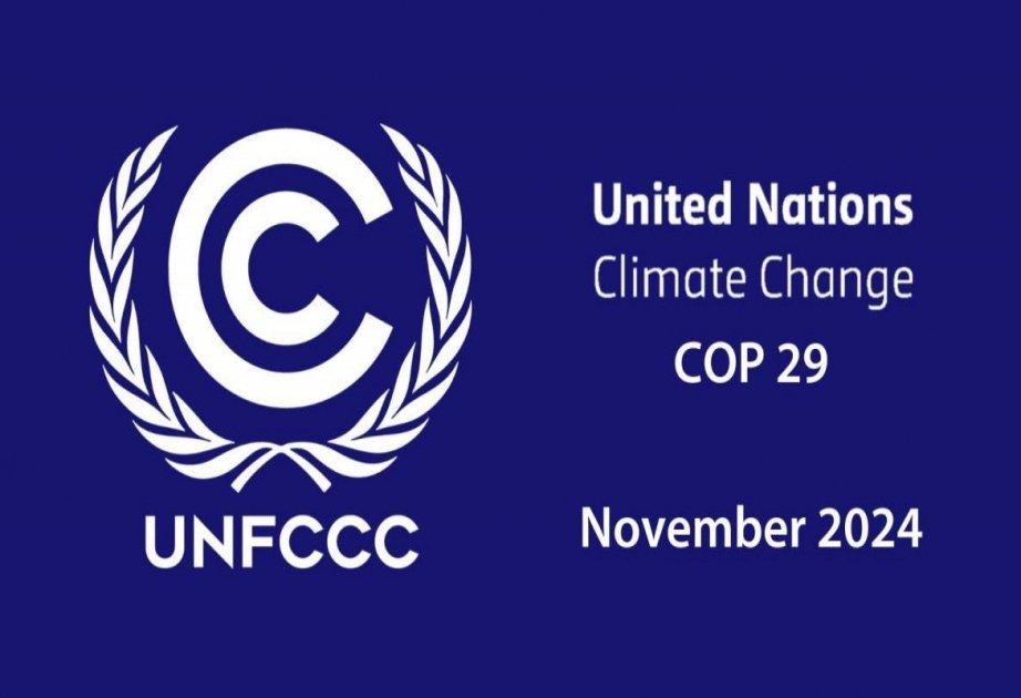 Azərbaycanın COP29-a ev sahibliyi edəcək ölkə kimi seçilməsi Prezident İlham Əliyevin növbəti qələbəsidir