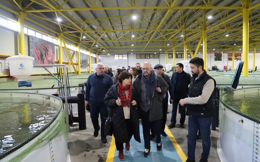 Regional Komissiya iclasının iştirakçıları "Nərəmiz" balıqyetişdirmə zavodunda olub