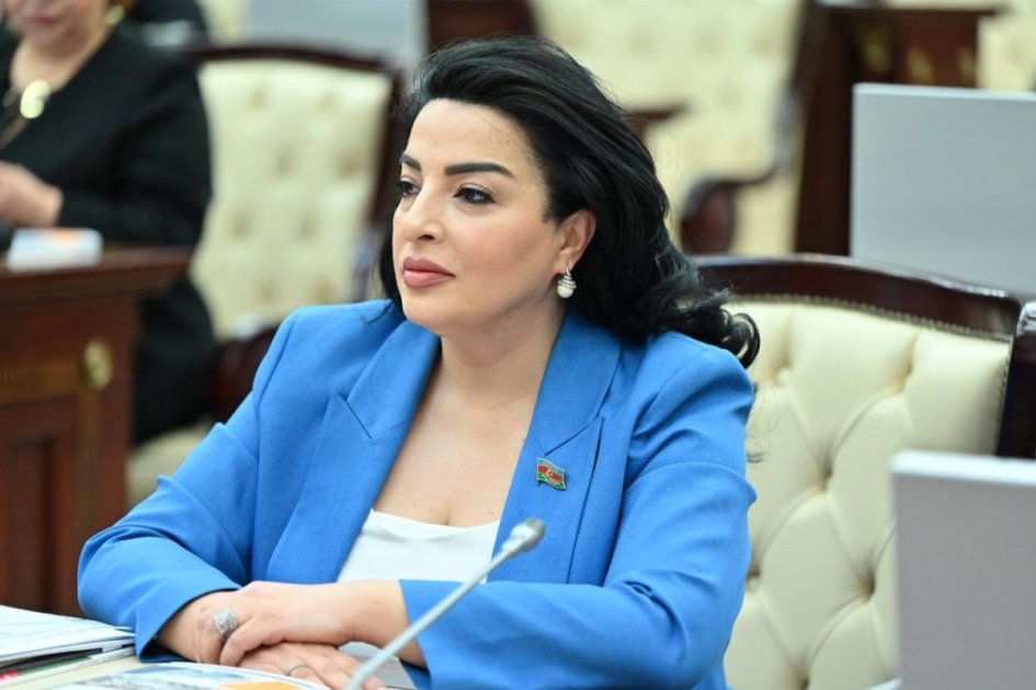 Azərbaycan qlobal ekoloji problemlərin qarşısının alınması ilə bağlı çağırışlara qoşulan ölkələr sırasındadır