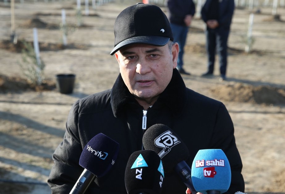 Tahir Budaqov: Ağacəkmə aksiyası ölkəmizin ekoloji vəziyyətinə müsbət təsir göstərəcək