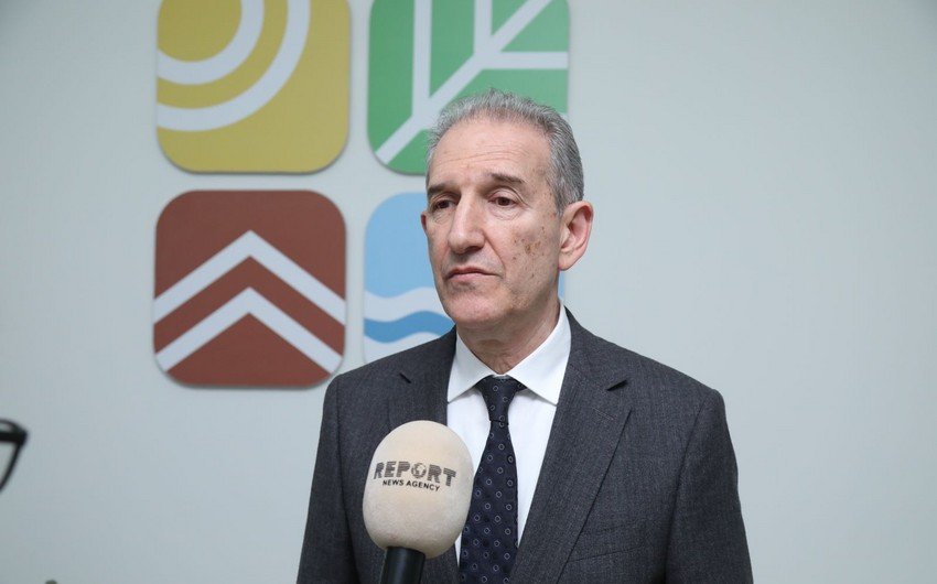 Nazir müşaviri: "Gələn il Azərbaycan "yaşıl inkişaf"ı seçdiyini bir daha bəyan edəcək"