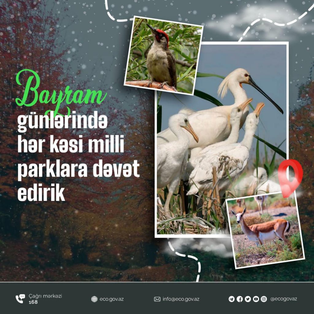 Ekologiya və Təbii Sərvətlər Nazirliyi: Bayram  günlərində hər kəsi  milli parklarımıza dəvət edirik!