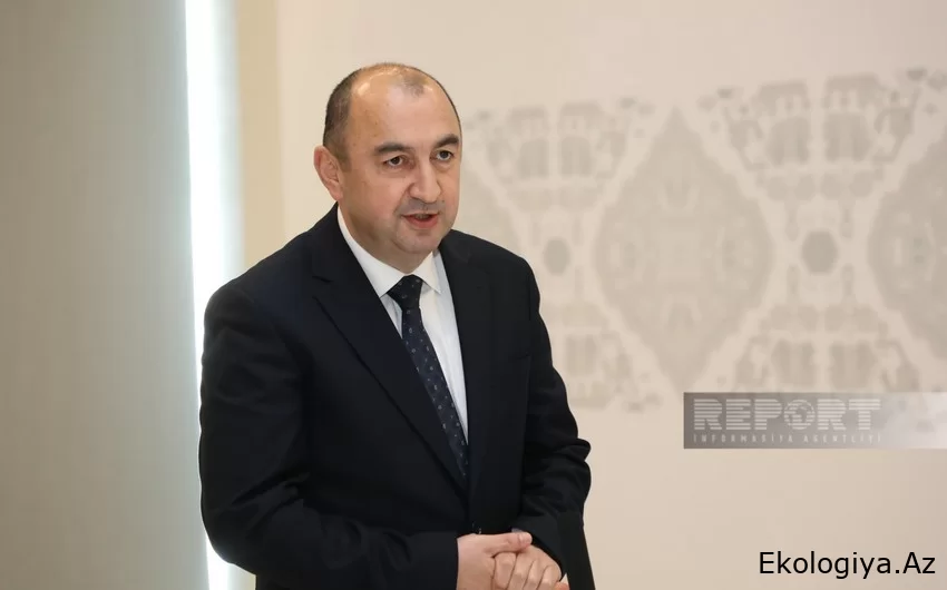 Nazir müavini: “Yaşıl dünya naminə həmrəylik ili” ilə bağlı tədbirlər planı hazırlanır”