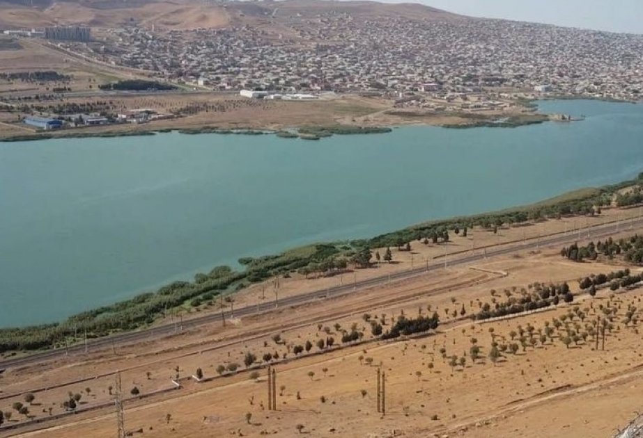 Xocahəsən gölünün yaxınlığında yeni Nəbatat Parkı salınacaq