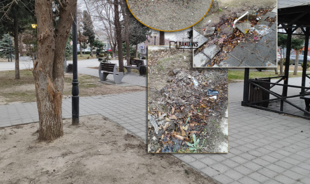 Bakıda daha bir park təmir ediləcək - FOTO
