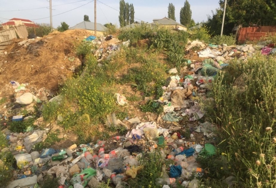 Sanitariya-gigiyena qaydalarını pozan avtomobilin sürücüsü barədə inzibati tənbeh tədbiri tətbiq olunub