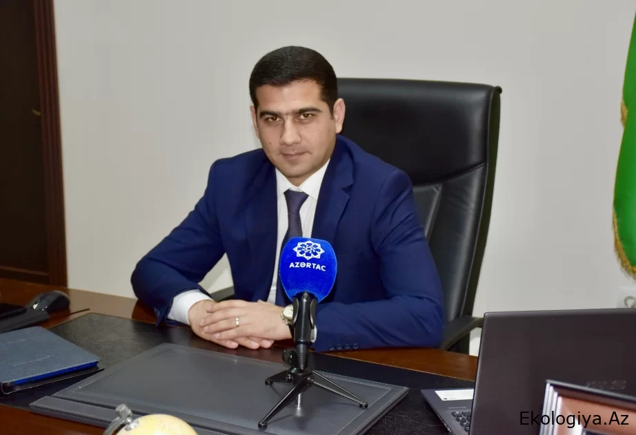 Nazir müavini: Bu ildən etibarən Naxçıvanda geologiya sahəsi daha yaxşı fəaliyyət göstərəcək