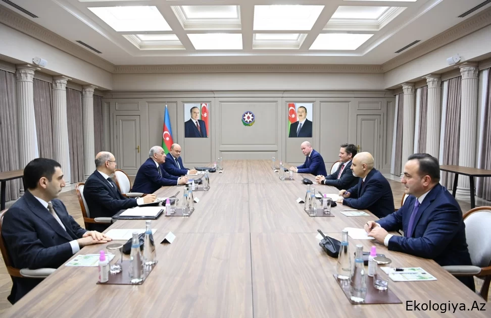 BP-nin icraçı vitse-prezidenti Baş nazir Əli Əsədovla görüşüb