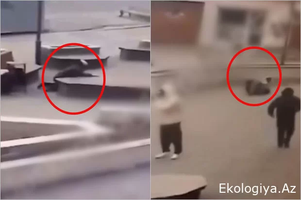 Güclü külək və qasırğa evlərin damın ucurub, insanlar ağır xəsarət alıb