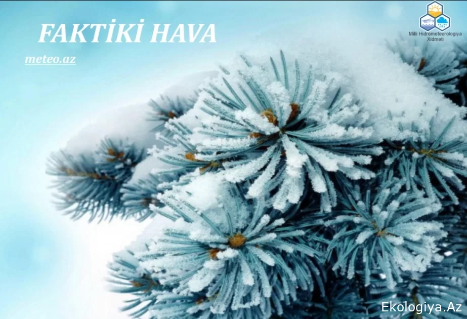 Qaxda qar örtüyünün hündürlüyü 45 santimetrə çatıb