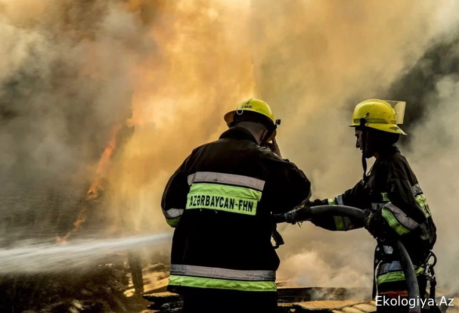 Xırdalanda Yeni Saray yolu adlanan ərazidə baş verən yanğın söndürülüb