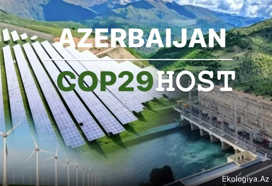 COP29 Azərbaycanın iqtisadi imkanlarını daha yaxından təqdim etməyə şərait yaradacaq - AÇIQLAMA