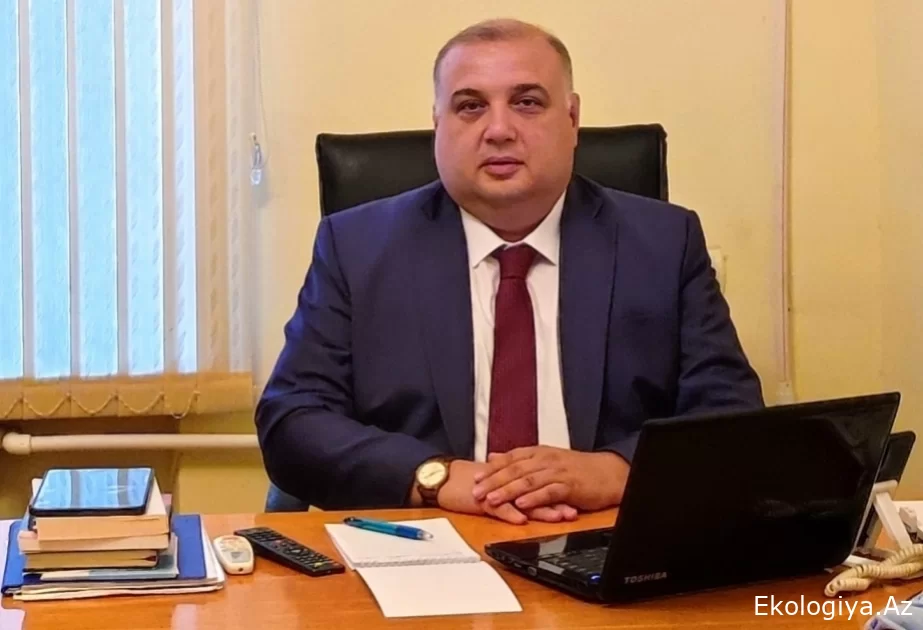 COP29 Azərbaycanda yeni irimiqyaslı layihələrin həyata keçirilməsinə töhfə verəcək - Ekspert