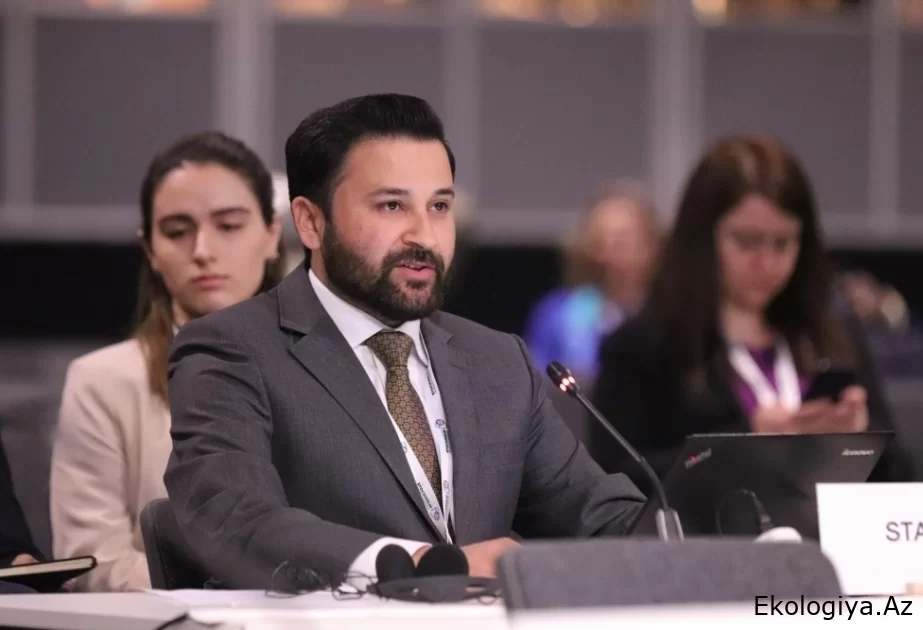 COP29-a ev sahibliyi Azərbaycanı iqlim dəyişikliyi ilə qlobal mübarizədə əsas oyunçulardan biri kimi önə çıxaracaq – Pakistanlı ekspert