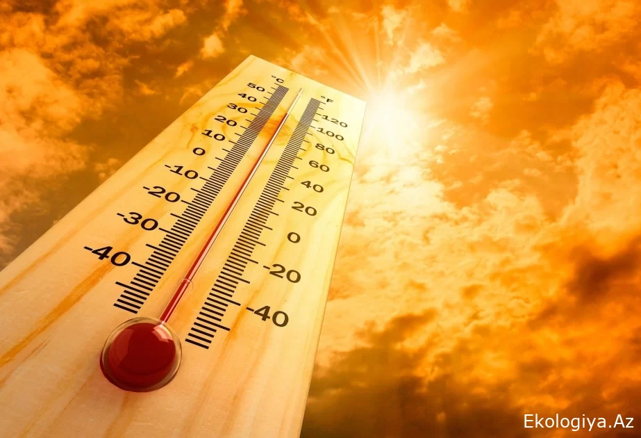 Ümumdünya Meteorologiya Təşkilatı kontinental Avropa üçün 48,8 dərəcə Selsi yeni temperatur rekordunu təsdiqləyib