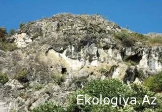 “Avey” qoruğu yaxınlığındakı texniki partlayışların təsiri müəyyən ediləcək