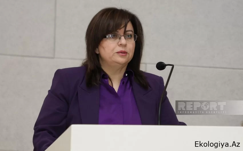 Cəbrayılın Horovlu kəndində kəhrizlər bərpa olunur - Nərgiz Qaracayeva