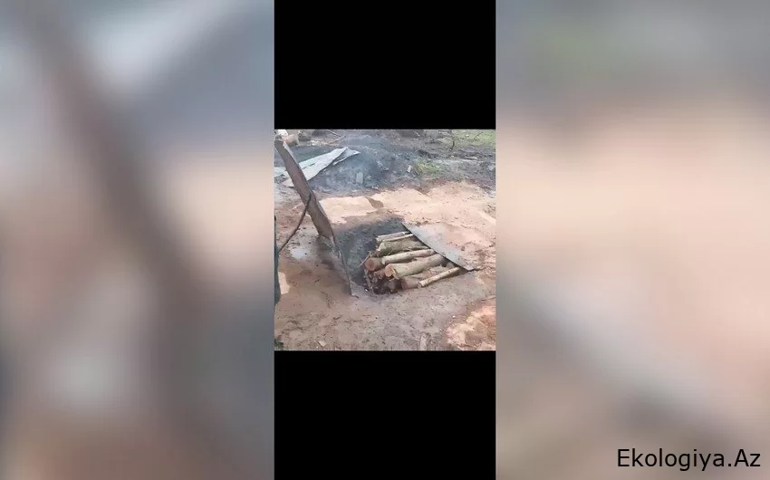 Göyçayda qanunsuz kömür quyuları aşkarlandı