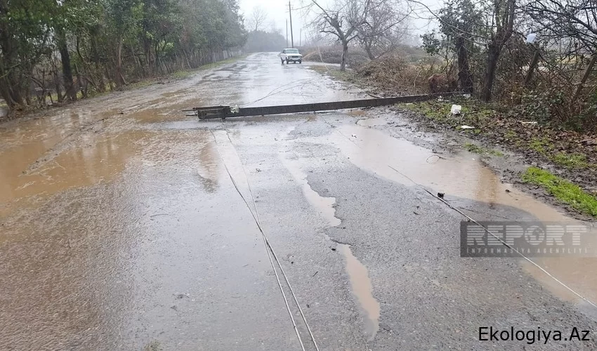 Lənkəranda avtomobil dirəyə çırpılıb, yeniyetmə ölüb