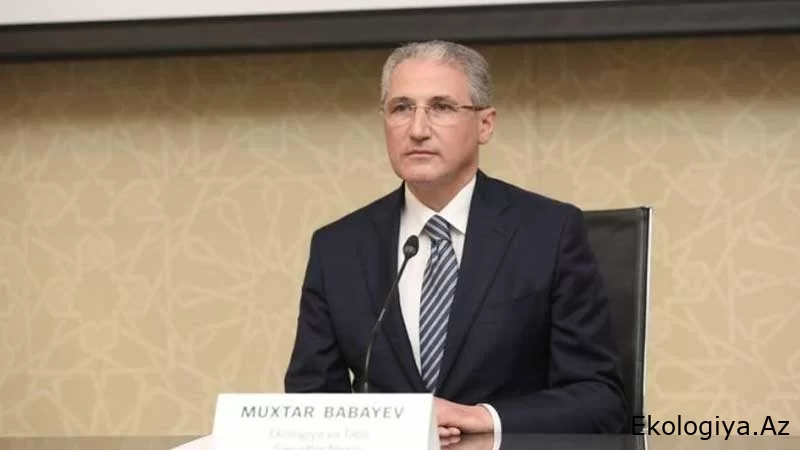 Nazir Vüsal Nəcəfovu vəzifəyə təyin etdi