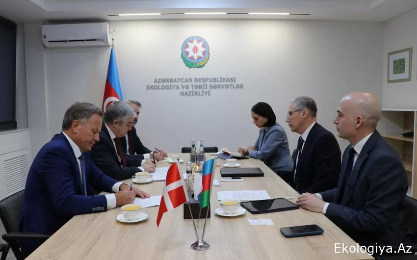 Azərbaycanla Danimarka arasında COP29-a hazırlıq prosesi müzakirə edilib