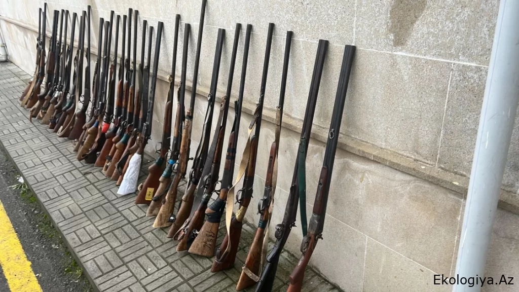 Sabirabadda qanunsuz odlu silah saxlayanlara qarşı əməliyyat keçirilib/FOTO