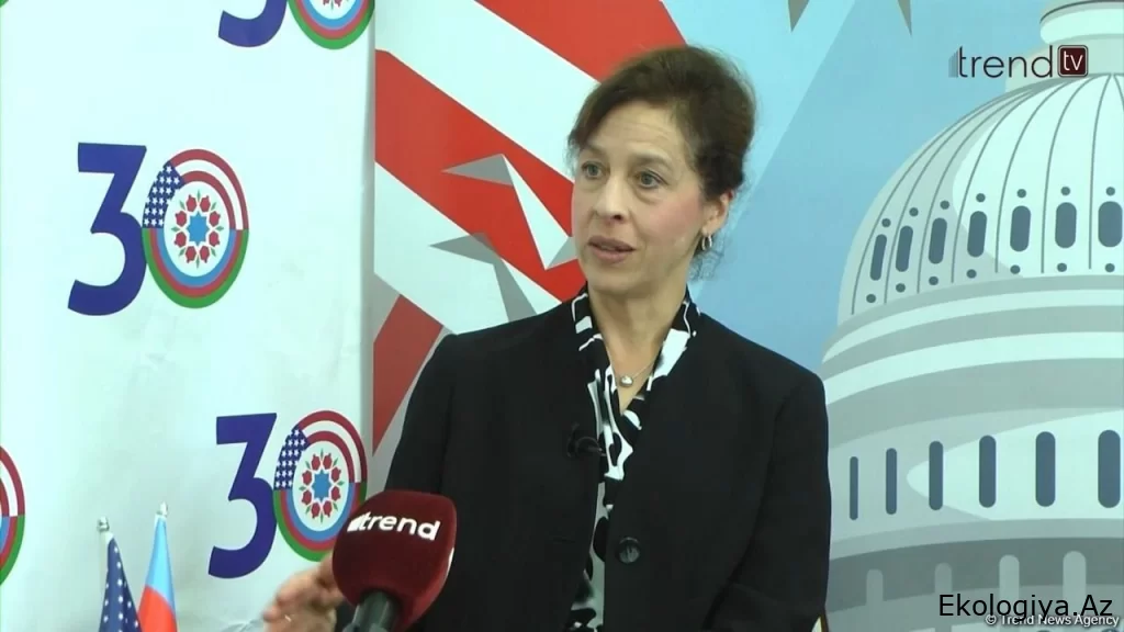 ABŞ COP29 çərçivəsində iqlim məqsədlərinə nail olmaq üçün Azərbaycanla əməkdaşlıqda maraqlıdır - Laura Loxman