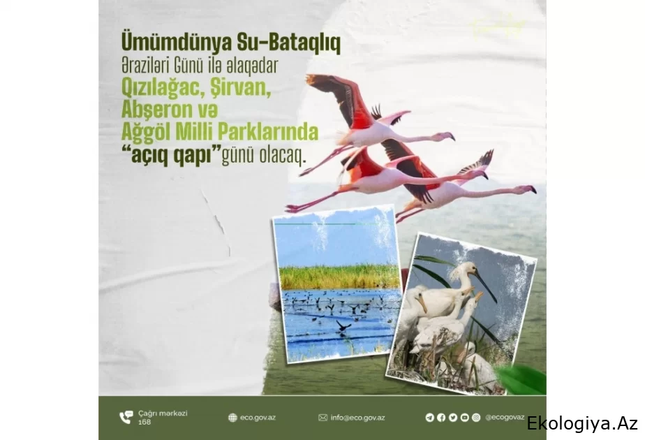 Bu gün Qızılağac, Şirvan, Abşeron və Ağgöl milli parklarında “Açıq qapı” günü olacaq