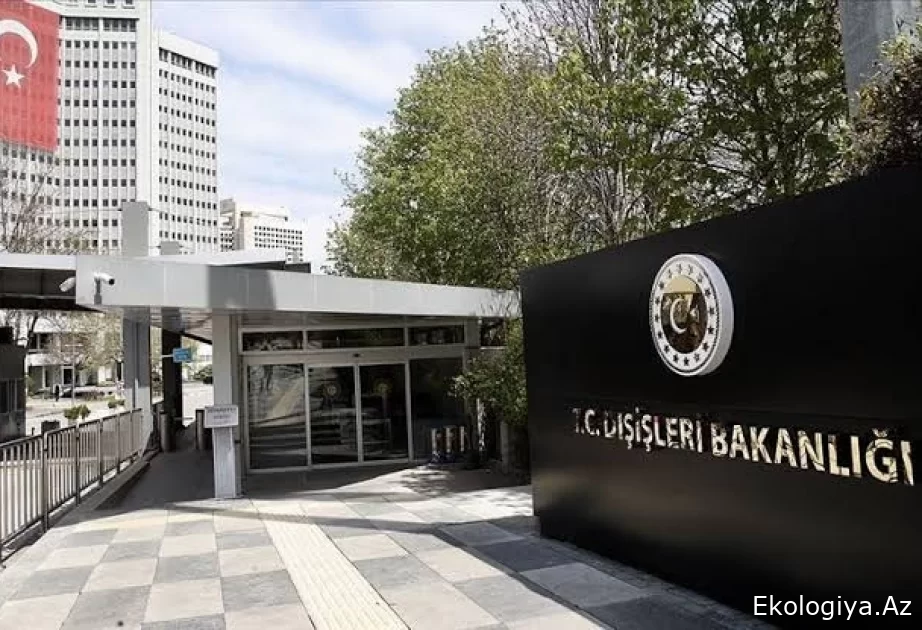 Türkiyə XİN: Seçkilərin nəticələrinin Azərbaycan üçün xeyirli olmasını arzulayırıq