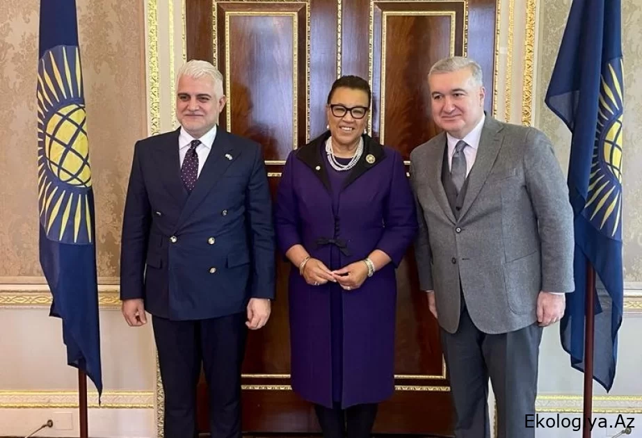 ® Ali qurumun Baş katibi: Azərbaycanın yanındayıq