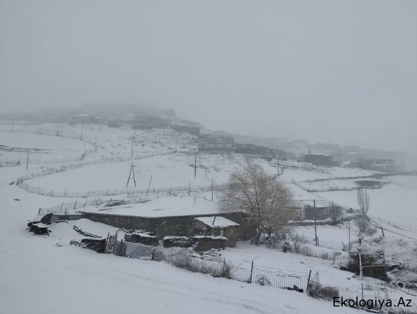 Xınalıq kəndinə güclü qar yağıb /FOTO
