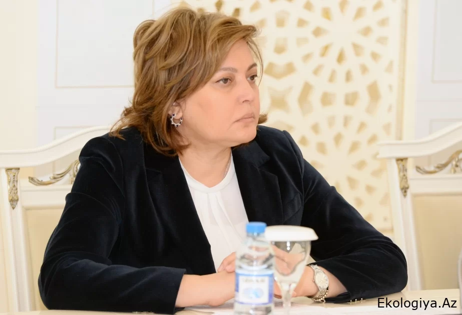 Umayra Tağıyeva: Böyük Qafqaz regionunun çaylarında sululuq normadan 88 faiz çoxdur