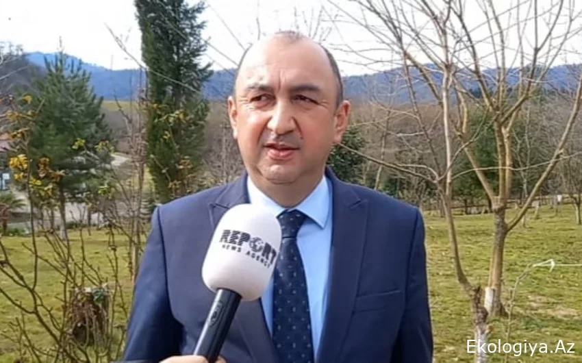 Nazir müavini: "Qax, Şəki və Samuxda milli parkların yaradılması ilə bağlı işlərə başlanılıb"