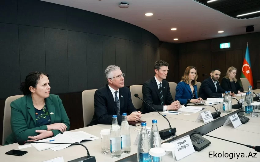 Ferqus Auld: COP29-un təşkilində Azərbaycana dəstək olmağa hazırıq