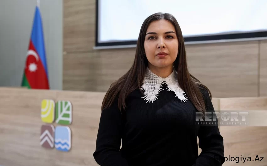 Nazirlik əməkdaşı: "Avtomobillərlə bağlı qabaqlayıcı tədbirlərə ehtiyac yaranıb"
